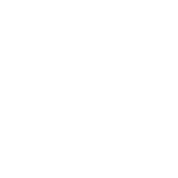 ICONES-SITE-11.png